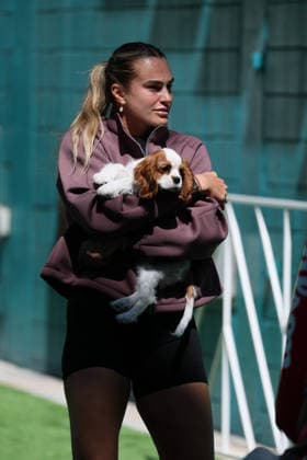 March 24, 2026, Miami Gardens, Florida, United States Of America: MIAMI GARDENS, FLORIDA - MARCH 20: Aryna Sabalenka is spotted on day 7 of the Miami Open at Hard Rock Stadium on March 23, 2026 in Miami Gardens, Florida. ...People: Aryna Sabalenka Miami Gardens United States Of America - ZUMAs214 20260324_ada_s214_014 Copyright: xSMGx