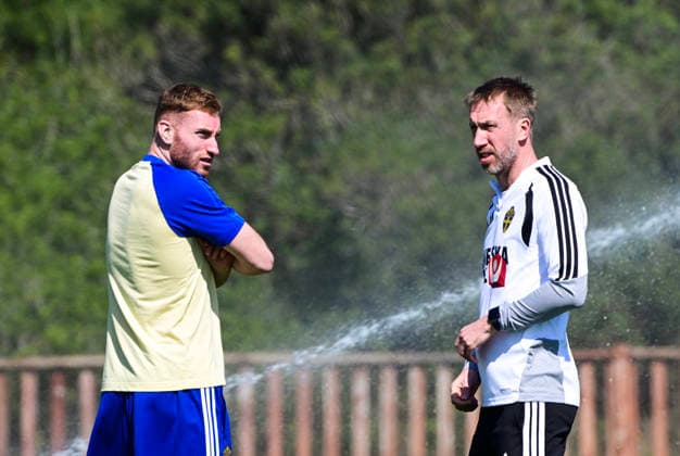 Football, Sweden national team, Training