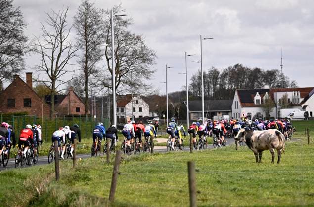 Tour of Bruges 2026 Cycling Race BRUGGE, BELGIUM - MARCH 25 : illustration picture peloton during the 50th edition of Tour of Bruges an UCI World Tour 1.UWT one day cycling road race for Men Elite of 202.9 km with start in Brugge and finish in Brugge on March 25, 2026 in Brugge, Belgium, 25 03 2026 ( Motordriver Kenny Verfaillie - Brugge Belgium  Copyright: xTomasxSiskx