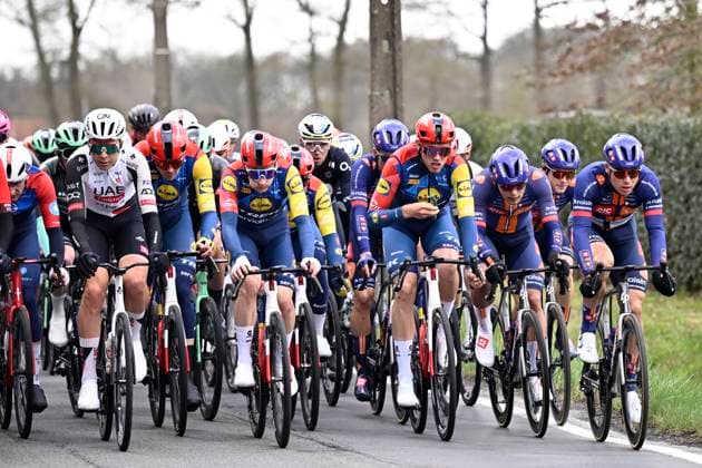 Tour of Bruges 2026 Cycling Race BRUGGE, BELGIUM - MARCH 25 : riders of team Lidl - Trek during the 50th edition of Tour of Bruges an UCI World Tour 1.UWT one day cycling road race for Men Elite of 202.9 km with start in Brugge and finish in Brugge on March 25, 2026 in Brugge, Belgium, 25 03 2026 ( Motordriver Kenny Verfaillie - Brugge Belgium  Copyright: xTomasxSiskx