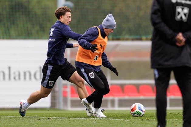 Football, Austrian national team, Training