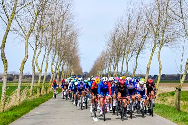 In Flanders Fields From Middelkerke to Wevelgem 2026 Cycling Race WEVELGEM, BELGIUM - MARCH 29 : Illustration picture of the peloton during the 88th edition of In Flanders Fields From Middelkerke to Wevelgem an UCI World Tour 1.UWT one day cycling road race for Men Elite of 240 km with start in Middelkerke and finish in Wevelgem on March 29, 2026 in Wevelgem, Belgium, 29 03 2026 ( Motordriver Guy De Vuyst - Wevelgem Belgium  Copyright: xJanxDexMeuleneirx