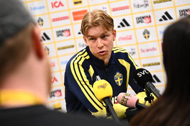 Football, World Cup qualifiers, Sweden national team, Training
