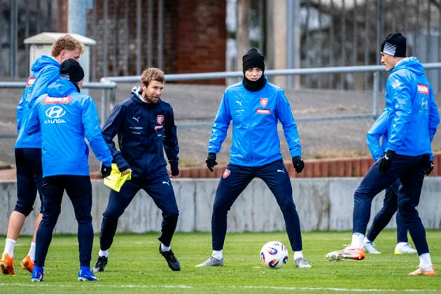 Football, Czech Republic national team, Training