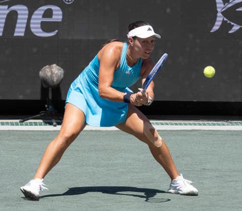 Tennis, WTA tournament in Charleston