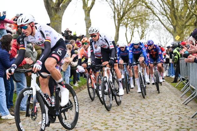 Belgian Florian Vermeersch of UAE Team Emirates pictured in action on Paddestraat during the men s race of the Ronde van Vlaanderen Tour des Flandres Tour of Flanders UCI WorldTour one day cycling race, 278 km from Antwerp to Oudenaarde, Sunday 05 April 2026. DAVIDxPINTENS  x169861479x