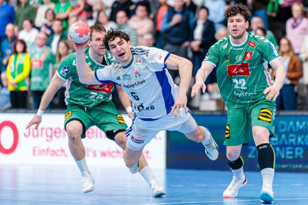 Handball, HBL, GWD Minden - HSV Hamburg,