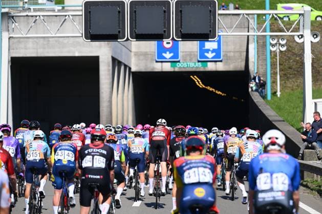 Cycling, Scheldeprijs