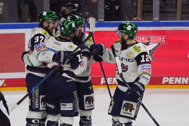 Köln, DEL, Saison 2025 2026, Playoffs semi Finale Spiel 2, Kölner Haie vs Eisbären Berlin , 10.04.2026. Lanxessarena Köln, Eisbären Berlin , jubeln *** Cologne, DEL, season 2025 2026, playoffs semi final game 2, Cologne Sharks vs Eisbären Berlin , 10 04 2026 Lanxessarena Cologne, Eisbären Berlin , cheer