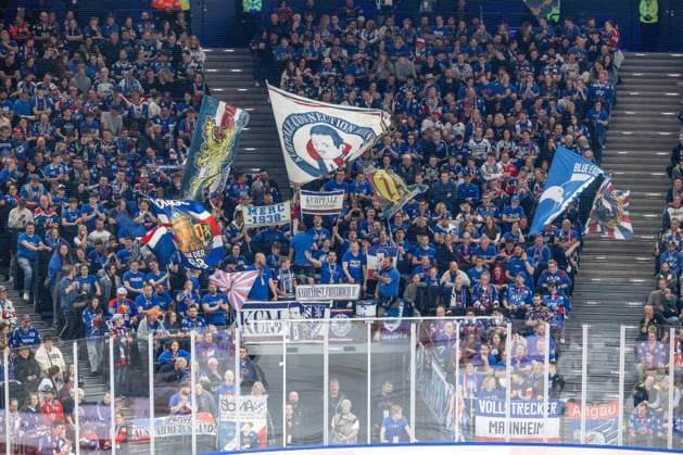 Die mitgereisten Mannheimer Fans im Gaesteblock GER, EHC Red Bull Muenchen vs. Adler Mannheim, Eishockey, DEL, Playoffs, Halbfinale Spiel 2, Saison 2025 2026, 10.04.2026. GER, EHC Red Bull Muenchen vs. Adler Mannheim, Eishockey, DEL, Playoffs, Halbfinale Spiel 2, Saison 2025 2026, 10.04.2026. Muenchen *** The accompanying Mannheim fans in the guest block GER, EHC Red Bull Muenchen vs Adler Mannheim, ice hockey, DEL, playoffs, semi-final game 2, season 2025 2026, 10 04 2026 GER, EHC Red Bull Muenchen vs Adler Mannheim, ice hockey, DEL, playoffs, semi-final game 2, season 2025 2026, 10 04 2026 Muenchen Copyright: xEibner-Pressefoto HeikexFeinerx EP_HFR