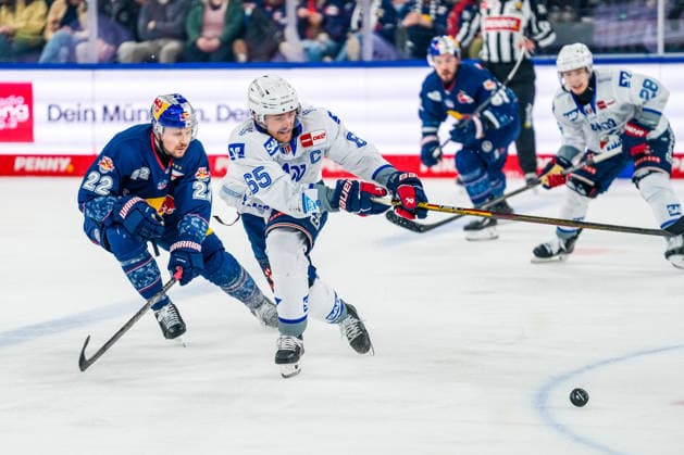 Penny DEL Playoff Halbfinale Spiel 2: Red Bull München - Adler Mannheim; 10.04.2026 Im Kampf um den Puck Ville Pokka (Red Bull München, 22) und Marc Michaelis (Adler Mannheim,65), Halbfinale Spiel 2 Penny DEL Saison 25 26 Red Bull München gegen die Adler Mannheim am 10.03.2026 im SAP Garden in München *** Penny DEL Playoff Semifinal Game 2 Red Bull Munich Adler Mannheim 10 04 2026 In the fight for the puck Ville Pokka Red Bull Munich, 22 and Marc Michaelis Adler Mannheim,65 , Semifinal Game 2 Penny DEL Season 25 26 Red Bull Munich against Adler Mannheim on 10 03 2026 at SAP Garden in Munich Copyright: xBEAUTIFULxSPORTS Eimertenbrinkx