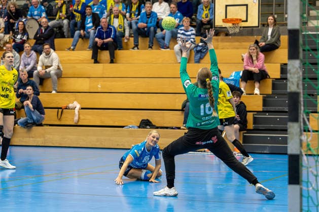 11.04.2026 Handball 3. Liga Frauen Staffel Nord Saison 2025 2026 21. Spieltag TSV Altenholz - SV Todesfelde. (Altenholz in Gelb Schwarz, Todesfelde in Blau) Nina Eggeling (am Boden), rechts der Altenholzer Torwart Anna Glaser Altenholz Edgar-Meschkat-Halle, Danziger S Schleswig Holstein Deutschland *** 11 04 2026 Handball 3 Liga Women Staffel Nord Season 2025 2026 21 Matchday TSV Altenholz SV Todesfelde Altenholz in yellow black, Todesfelde in blue Nina Eggeling on the ground , on the right Altenholz goalkeeper Anna Glaser Altenholz Edgar Meschkat Halle, Danziger S Schleswig Holstein Germany