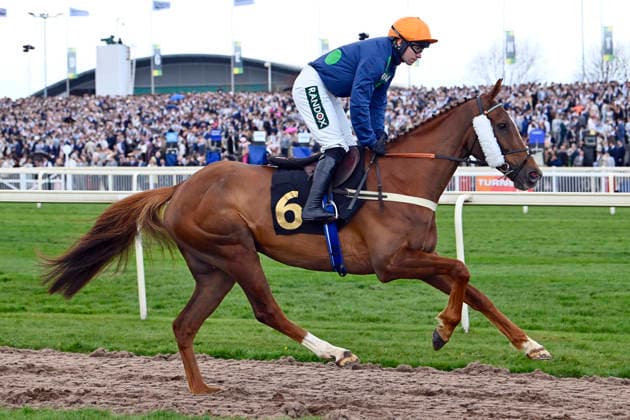 11.04.2026, Aintree, Liverpool, GBR - No Questions Asked with Ben Jones. Aintree racecourse. (Pferd, Jockey, No Questions Asked, Jones, Aufgalopp) 260411C910AINTREE.JPG *** 11 04 2026, Aintree, Liverpool, GBR No Questions Asked with Ben Jones Aintree racecourse horse, Jockey, No Questions Asked, Jones, Aufgalopp 260411C910AINTREE JPG