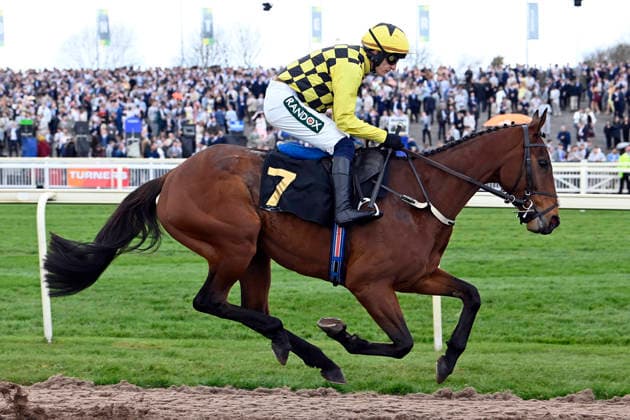 11.04.2026, Aintree, Liverpool, GBR - Salvator Mundi with Paul Townend. Aintree racecourse. (Pferd, Jockey, Salvator Mundi, Townend, Aufgalopp) 260411C912AINTREE.JPG *** 11 04 2026, Aintree, Liverpool, GBR Salvator Mundi with Paul Townend Aintree racecourse horse, jockey, Salvator Mundi, Townend, gallop 260411C912AINTREE JPG