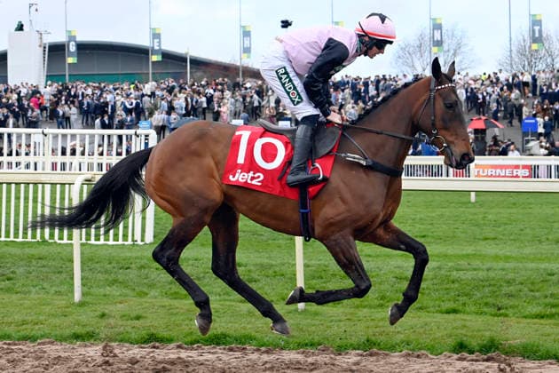 11.04.2026, Aintree, Liverpool, GBR - Air of Entitlement with Jack Kennedy. Aintree racecourse. (Pferd, Jockey, Air of Entitlement, Kennedy, Aufgalopp) 260411C929AINTREE.JPG *** 11 04 2026, Aintree, Liverpool, GBR Air of Entitlement with Jack Kennedy Aintree racecourse horse, jockey, Air of Entitlement, Kennedy, gallop 260411C929AINTREE JPG