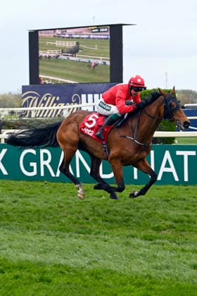 11.04.2026, Aintree, Liverpool, GBR - Home by the Lee with James Joseph Slevin up wins the Liverpool Hurdle. Aintree racecourse. (Pferd, Jockey, Home by the Lee, Slevin, Sieg, Ziel, Zielankunft) 260411C935AINTREE.JPG *** 11 04 2026, Aintree, Liverpool, GBR Home by the Lee with James Joseph Slevin up wins the Liverpool Hurdle Aintree racecourse horse, jockey, Home by the Lee, Slevin, win, finish, finish 260411C935AINTREE JPG