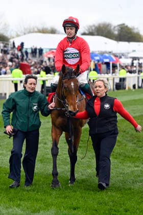 11.04.2026, Aintree, Liverpool, GBR - Home by the Lee with James Joseph Slevin up after winning the Liverpool Hurdle. Aintree racecourse. (Pferd, Jockey, Home by the Lee, Slevin, Sieg) 260411C937AINTREE.JPG *** 11 04 2026, Aintree, Liverpool, GBR Home by the Lee with James Joseph Slevin up after winning the Liverpool Hurdle Aintree racecourse horse, Jockey, Home by the Lee, Slevin, victory 260411C937AINTREE JPG