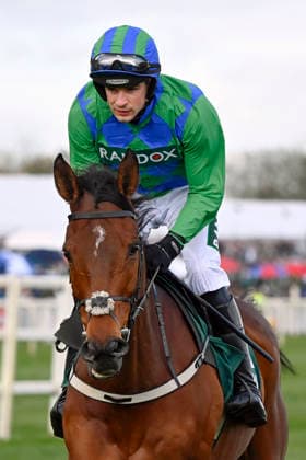 11.04.2026, Aintree, Liverpool, GBR - Champ Kiely with Danny Mullins. Aintree racecourse. (Pferd, Jockey, Champ Kiely, Mullins, Aufgalopp) 260411C940AINTREE.JPG *** 11 04 2026, Aintree, Liverpool, GBR Champ Kiely with Danny Mullins Aintree racecourse horse, jockey, Champ Kiely, Mullins, gallop 260411C940AINTREE JPG