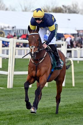 11.04.2026, Aintree, Liverpool, GBR - Final Orders with Conor Stone-Walsh. Aintree racecourse. (Pferd, Jockey, Final Orders, Stone-Walsh, Aufgalopp) 260411C944AINTREE.JPG *** 11 04 2026, Aintree, Liverpool, GBR Final Orders with Conor Stone Walsh Aintree racecourse horse, jockey, Final Orders, Stone Walsh, gallop 260411C944AINTREE JPG