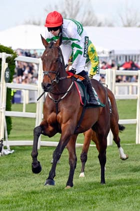 11.04.2026, Aintree, Liverpool, GBR - Firefox with Keith Donoghue. Aintree racecourse. (Pferd, Jockey, Firefox, Donoghue, Aufgalopp) 260411C952AINTREE.JPG *** 11 04 2026, Aintree, Liverpool, GBR Firefox with Keith Donoghue Aintree racecourse horse, jockey, Firefox, Donoghue, gallop 260411C952AINTREE JPG