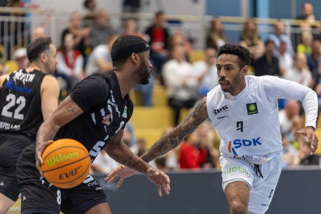 Basketball, 2. BL, ProB, Playoffs, SV Fellbach Flashers - Hertener Löwen