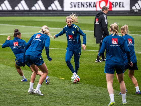 Football, World Cup qualifiers, Sweden national team, Training