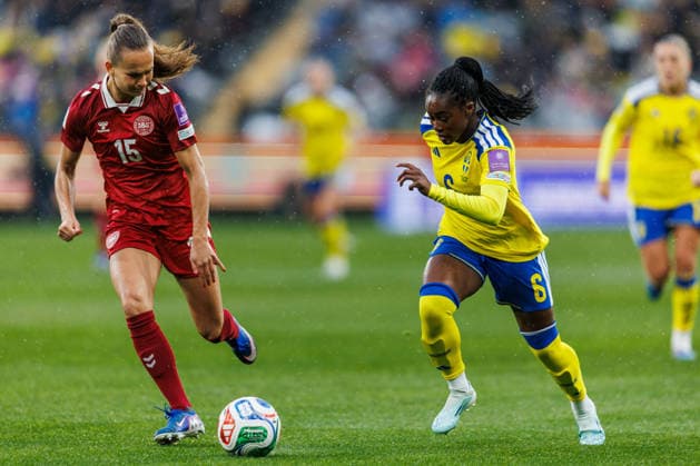 Football, Women, World Cup Quali, Sweden - Denmark