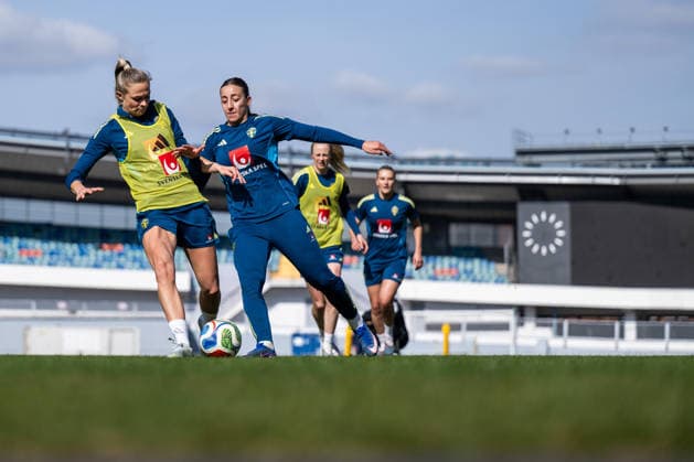 Football, Women, World Cup Qualifiers, National Team Sweden, Training
