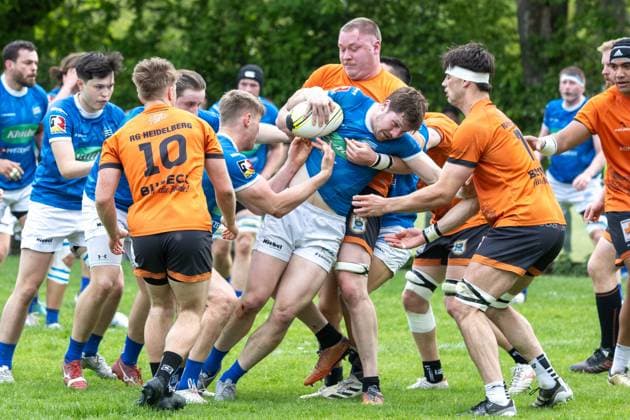 Rugby Bundesliga, Season 2025 26, 14 Matchday SC Neuenheim vs RG Heidelberg Copyright: xUdoxHerrmannx