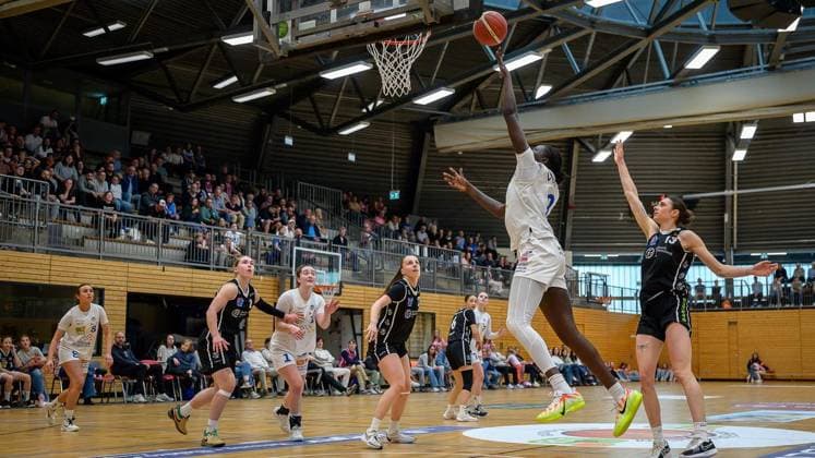 Bochum VfL VIACTIV AstroLadies Bochum Falcons Bad Homburg FOR EDITORIAL PURPOSES ONLY p Faith Dut 9, VfL VIACTIV AstroLadies Bochum in the match VfL VIACTIV AstroLadies Bochum white against Falcons Bad Homburg black on Sunday, April 19, 2026, at the Rundsporthalle in Bochum Bochum Copyright UwexErnst Copyright: UwexErnst doc85horslrs5il9vthu94 ,EDITORIAL USE ONLY Copyright: UwexErnst