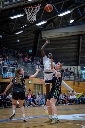 Bochum VfL VIACTIV AstroLadies Bochum Falcons Bad Homburg FOR EDITORIAL PURPOSES ONLY p In the game VfL VIACTIV AstroLadies Bochum white against Falcons Bad Homburg black on Sunday, April 19, 2026, in the Rundsporthalle in Bochum Bochum Copyright UwexErnst Copyright: UwexErnst doc85horsotko91bx6741tta ,EDITORIAL USE ONLY Copyright: UwexErnst