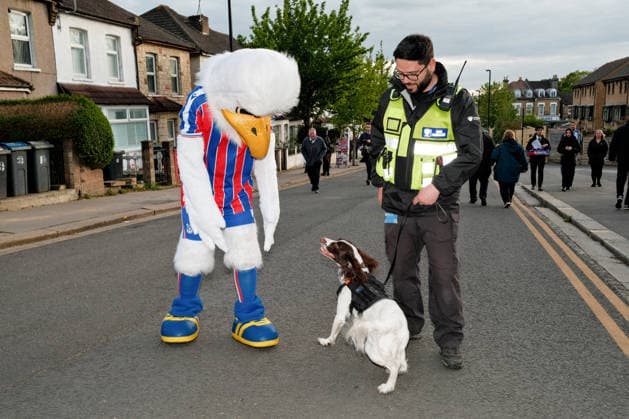 Crystal Palace gegen West Ham United 20. April 2026, London Premier League Fußball Crystal Palace gegen West Ham United Das Crystal Palace-Maskottchen versucht, einen Hund zu streicheln Foto Jacques Feeney Abseits London UK  Copyright: xJacquesxFeeneyx xOffsidexOffside