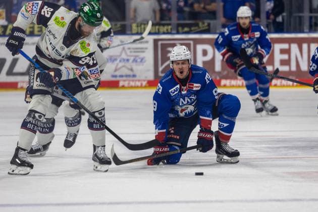 DEL, Deutsche Eishockey Liga Saison 2025 26, Playoff-Finale, Spiel 1: Adler Mannheim gegen Eisbären Berlin***Marcel Noebels (92, Berlin) schnappt sich den Puck vor Leon Gawanke (9, Mannheim) und leitet das 3:0 für Berlin ein *** DEL, Deutsche Eishockey Liga season 2025 26, playoff final, game 1 Adler Mannheim vs Eisbären BerlinMarcel Noebels 92, Berlin grabs the puck in front of Leon Gawanke 9, Mannheim and initiates the 3 0 for Berlin Copyright: xUdoxHerrmannx