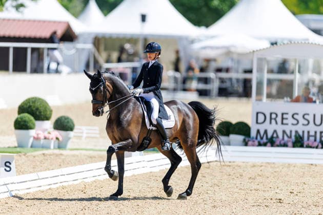 Sport Bilder des Tages MANNHEIM - Maimarkt-Turnier 2026, MANNHEIM - Maimarkt-Turnier 2026 Pearce Simone (AUS), Will Marq CDI4* - Grand Prix Prize of Liselott und Klaus Rheinberger Stiftung Mannheim, Reitstadion Maimarkt 01. May 2026 - *** MANNHEIM Maimarkt Turnier 2026, MANNHEIM Maimarkt Turnier 2026 Pearce Simone AUS , Will Marq CDI4 Grand Prix Prize of Liselott und Klaus Rheinberger Stiftung Mannheim, Reitstadion Maimarkt 01 May 2026