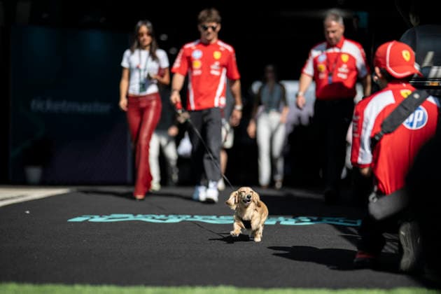 Practice Session F1 Grand Prix of Miami 16 Charles Leclerc (Ferrari) and his wife Alexandre de Saint Mleux and Leo, the dog, before practice session of the F1 Grand Prix of Miami at Miami International Autodrome on May 1, 2026 in Miami Florida . Photo by Eliot Blondet ABACAPRESS.COM Miami Florida  Copyright: xBlondetxEliot ABACAx