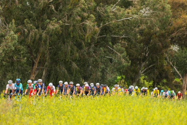 The 61st Presidential Cycling Tour of Turkiye (TUR 2026) has officially begun, starting with its opening stage in the coastal town of Cesme, Izmir. Held under the auspices of the Presidency of the Republic of Türkiye, this prestigious UCI ProSeries race brings together 23 teams and 161 world-class cyclists to compete over eight days, from April 26 to May 3, 2026...The 2026 edition unfolds across routes showcasing some of Türkiye s most striking landscapes. Starting in Cesme, the race follows the Aegean and Mediterranean coastlines, covering stages through Antalya and the southern shores before concluding in the capital, Ankara. Beyond sporting competition, the tour plays a key role in promoting Türkiye s natural and cultural richness on a global stage..This year, the race consists of 8 stages covering approximately 1,200 kilometers. Nearly 20 teams and over 150 riders from around the world are competing, under the coordination of the Turkish Cycling Federation..With the first three stages completed, the pace in the peloton has intensified and the general classification has begun to take shape. Sprint finishes and technically demanding routes have stood out, with the third stage drawing attention for its high tempo and dramatic finale..The third stage of the 61st Presidential Cycling Tour of Türkiye (TUR 2026) was won by Colombian rider Ivan Ramiro Sosa of Equipo Kern Pharma. Covering the 132.7-kilometer Marmaris-KÄÂ±ran route, Sosa finished in 3 hours, 40 minutes, and 25 seconds. In the summit finish, Australian rider Sebastian Berwick of Caja Rural-Seguros RGA placed second, while French rider Nicolas Breuillard of TotalEnergies finished third..As the race progresses, challenging climbs and critical time gaps are expected to further heighten the excitement. The tour continues to deliver a compelling blend of elite competition and global vis Copyright: RizaxOzel 19081572