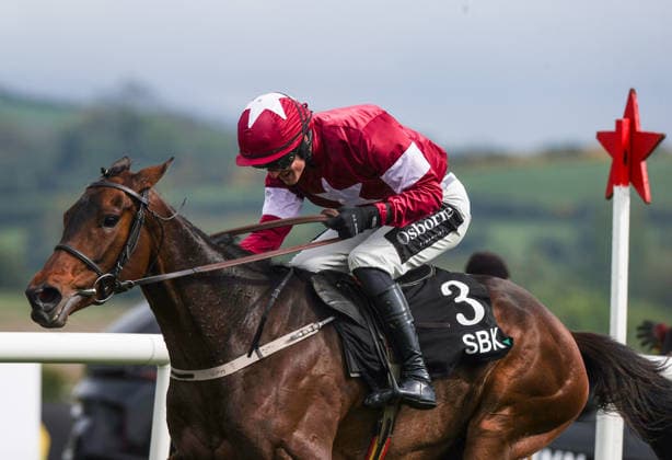 Sport Bilder des Tages 2026 Punchestown Racing Festival, Punchestown Racecourse, Kildare 2 5 2026 SBK Irish EBF Mares Champion Hurdle Danny Mullins onboard Place De La Nation comes home to win Danny Mullins onboard Place De La Nation comes home to win 2 5 2026  Copyright: x INPHO TomxMaherx ISS_9053