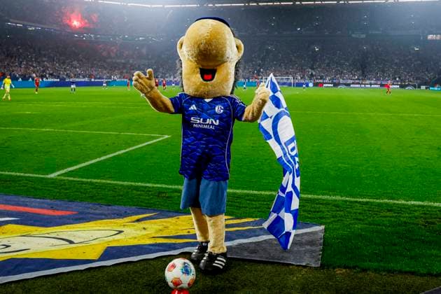 Sport Bilder des Tages mascot Erwin of FC Schalke 04 looks on FC Schalke 04 v Fortuna Dusseldorf, 2. Bundesliga, FC Schalke 04 v Fortuna Dusseldorf, Veltins-Arena, May 2, 2026, Gelsenkirchen, Germany.