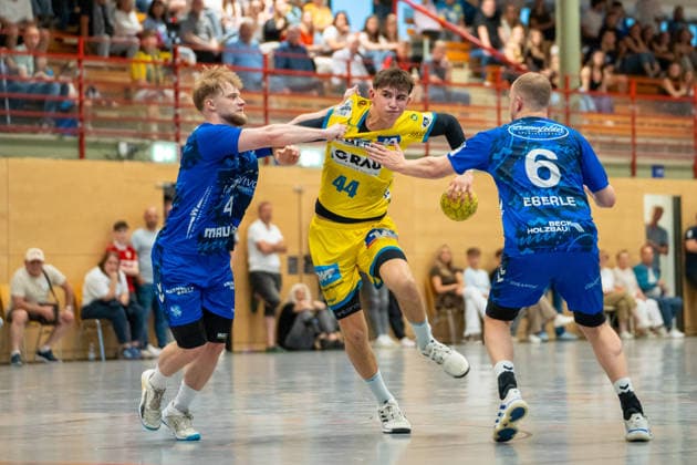 Handball, 3rd league, TV Bittenfeld - SG Pforzheim-Eutingen