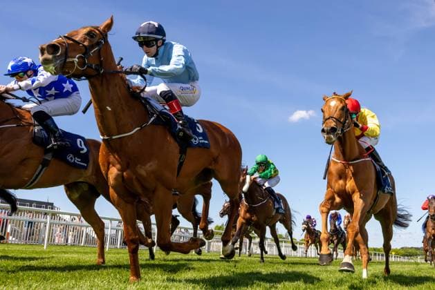 REPRO FREE *PRESS RELEASE NO REPRODUCTION FEE* EDITORIAL USE ONLY Naas Racing, Naas Racecourse, Kildare 9 5 2026 Andrew Slattery on Bing Majestic Row (light blue silks) wins The Coonan Cawley LLP In Support Of McAuley Place Handicap Andrew Slattery on Bing Majestic Row wins The Coonan Cawley LLP 9 5 2026  Copyright: x INPHO MorganxTraceyx 2V7A7719