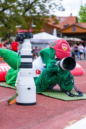 2 Womens Bundesliga VfB Stuttgart vs Vfl Wolfsburg II 10 05 2026 Stuttgart, GERMANY 10 May 2026 The mascot Fritze as photographer during the match between VfB Stuttgart and Vfl Wolfsburg II on matchday 25 of the 2 Womens Bundesliga at the PSV Stuttgart sports ground Copyright: xBEAUTIFULxSPORTS Steinx