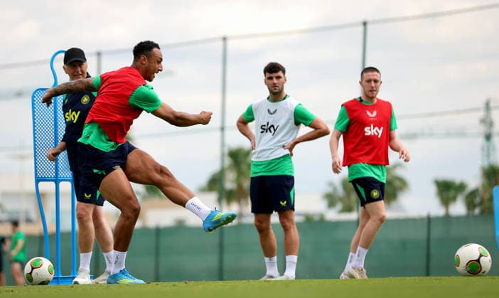 Football, Ireland national team, Training