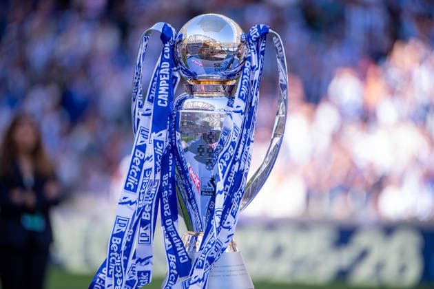 May 16, 2026, Porto, Porto, Portugal: PORTO, PORTUGAL - MAY 16: Liga Portugal Betclic trophy is seen during the Liga Portugal Betclic 2025 26 League match between FC Porto and Santa Clara, at Estadio do Dragao on May 16, 2026 in Porto, Portugal FC Porto X Santa Clara - Liga Portugal Betclic  - ZUMAl192 20260516_zsp_l192_044 Copyright: xMiguelxLemosx
