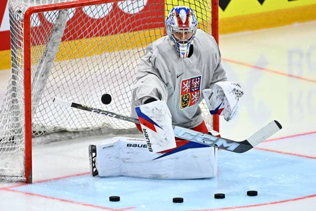 Ice hockey, World Championship, Czech Republic national team, training