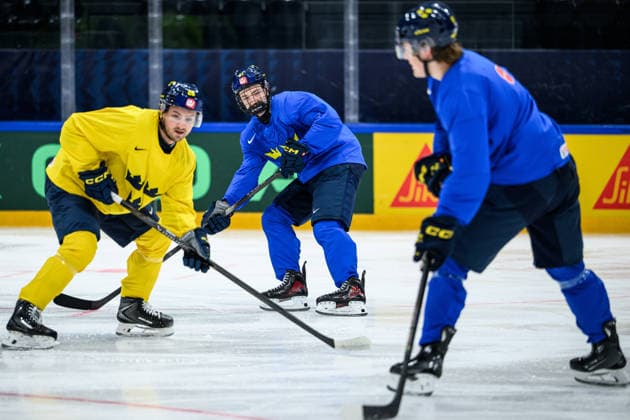Ice hockey, World Championship, National Team Sweden, Training