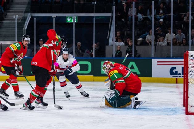 ZURICH, SWITZERLAND - MAY 19: XXX during the Preliminary Round - Group A Match 23 between Hungary and Great Britain at the IIHF Ice hockey, Eishockey World Championship, WM, Weltmeisterschaft 2026, Swiss Life Arena on May 19, 2026 in Zurich, Switzerland. Zurich Switzerland Copyright: xTimoxSteinx