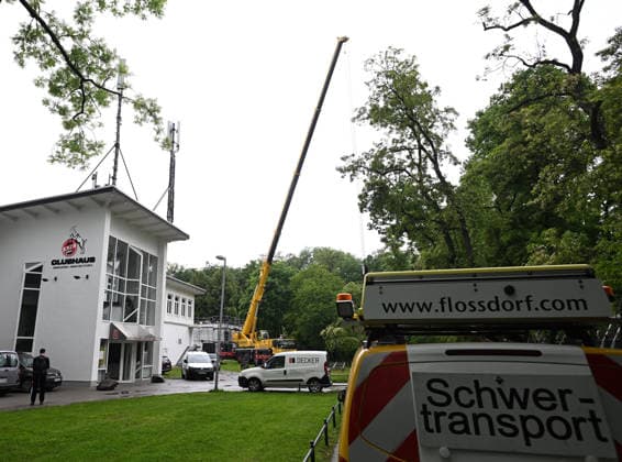 20.05.2026, xophax, Fussball 1.Bundesliga, Köln Cologne , 1.FC Koeln. Saisonende. Sommerpause. Geissbockheim. Renovierungen und Umbau. Koeln *** 20 05 2026, xophax, Soccer 1 Bundesliga, Cologne Cologne , 1 FC Koeln end of season summer break Geissbockheim renovations and reconstruction Cologne