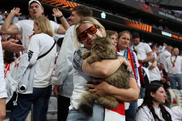 20.05.2026 - SOCCER - 2025-2026 UEFA EUROPA LEAGUE FINAL, SC Freiburg vs Aston Villa UEFA Europa League Final stadium cat meeting with SC Freiburg supporters outside the stadium in Istanbul during the pre-match atmosphere. ISTANBUL ISTANBUL, BESIKTAS PARK TÜPRAS STADIUM BESIKTAS PARK TÜPRAS STADIUM TÜRKIYE