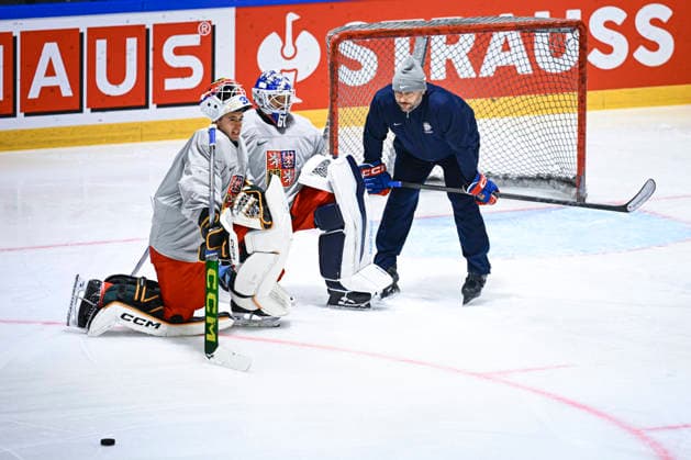 Ice hockey, World Championship, Czech Republic national team training