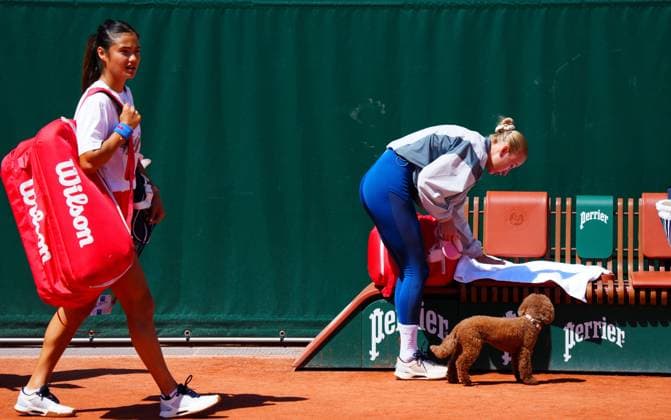 Anastasia Potapova arrives for practice with Emma Raducanu with her toy poodle Baby French Open Tennis, Friday Previews, Qualifying and Practice, Tennis, Roland Garros, Paris, France - 22 May 2026Paris Roland Garros France EDITORIAL USE ONLY No use with unauthorised audio, video, data, fixture lists, club league logos or live services. Online in-match use limited to 120 images, no video emulation. No use in betting, games or single club league player publications. Copyright: xJavierxGarcia Shutterstockx 16887306b